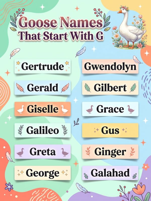 Goose Names That Start With G
