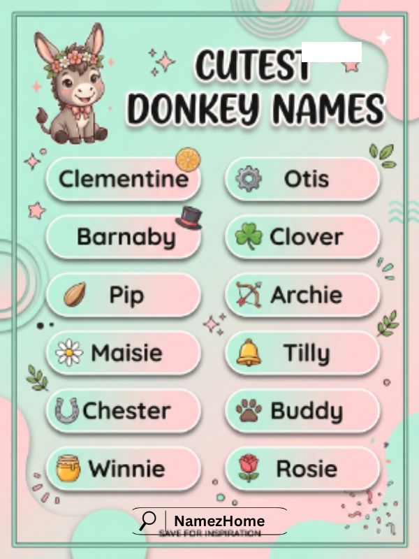 Cute Donkey Names