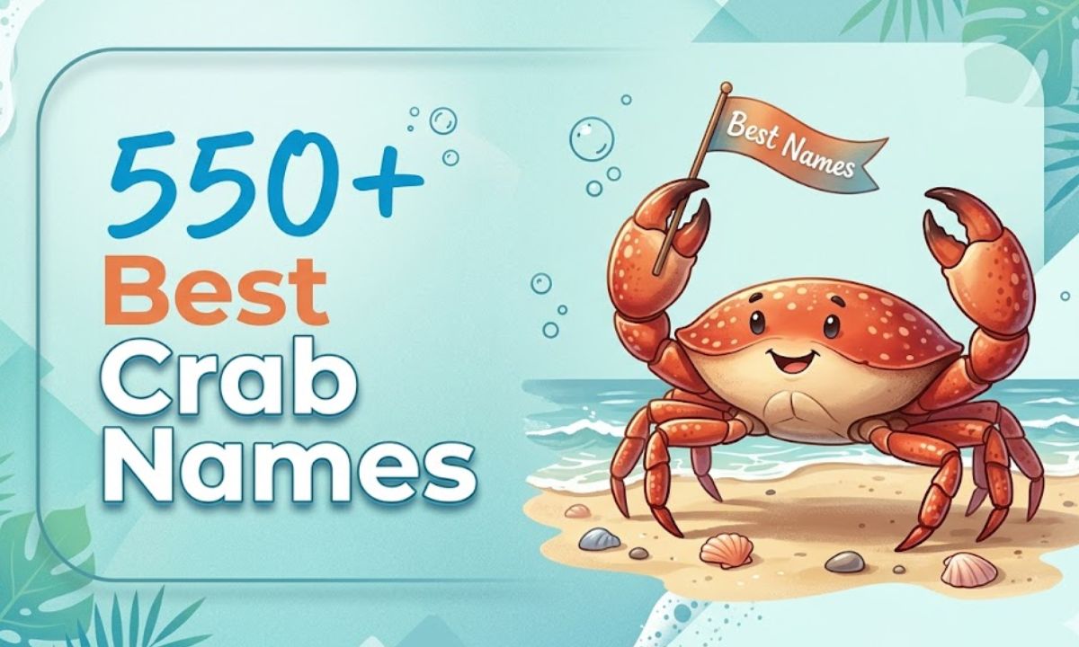 Best Crab Names
